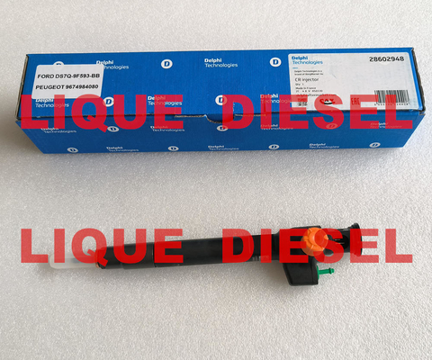 CHINA DELPHI Common Rail Injetor 28602948 9674984080 28388960 28319895 fornecedor
