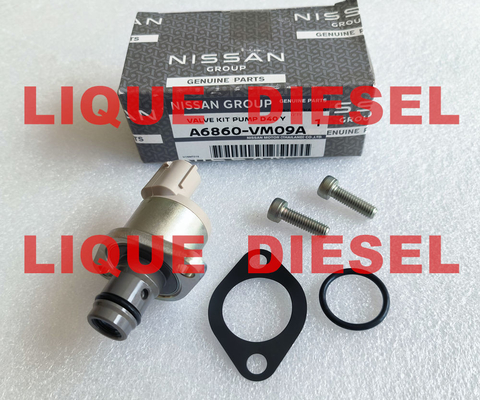 CHINA Os kits de revisão A6860-VM09A A6860VM09A A6860 VM09A incluem a válvula 294200-0360 fornecedor