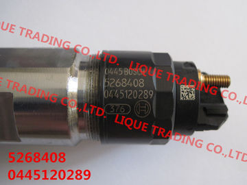 CHINA BOSCH 0 injetor comum genuíno 0445120289 do trilho 445 120 289 para 5268408 fornecedor