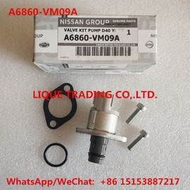 CHINA Os jogos A6860-VM09A da revisão de DENSO, incluem a válvula 294200-0360 NISSAN A6860VM09A fornecedor