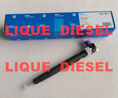 CHINA 33800-4A710 28229873 DELPHI Common Rail injector de combustível 33800-4A710 28229873 para HYUNDA KIA 33800 4A710 338004A710 fornecedor