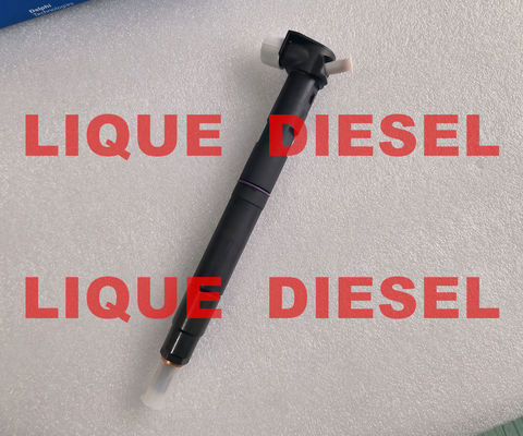 CHINA INJETOR DELPHI de trilho comum 28581266 33800-2A150 338002A150 33800 2A150 fornecedor