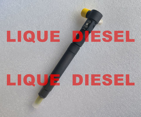 CHINA DELPHI EMBR00301D Injetor de trilho comum R00301D 6710170121 A6710170121 para SSANGYONG Korando fornecedor