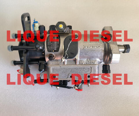 CHINA Bomba de Combustível 3062F075 3062F074 3062F073 3062F072 3062F071 3062F070 3062F07# fornecedor