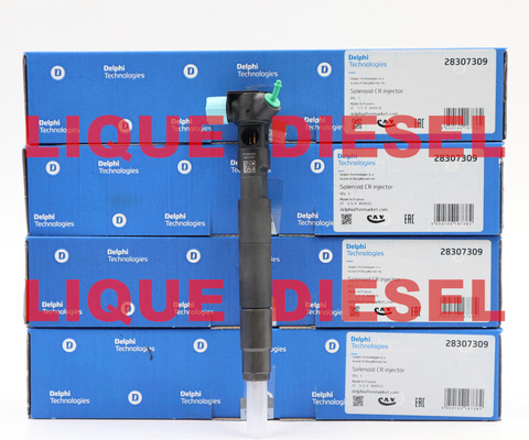 CHINA Injetor 28307309 de DELPHI Fuel, injetor comum 28307309 do trilho fornecedor