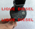 Regulador de pressão da bomba de combustível de BOSCH, DRV 0281002500 para FIAT 9949317, IVECO 504016314, 42538165,  5001857386 fornecedor