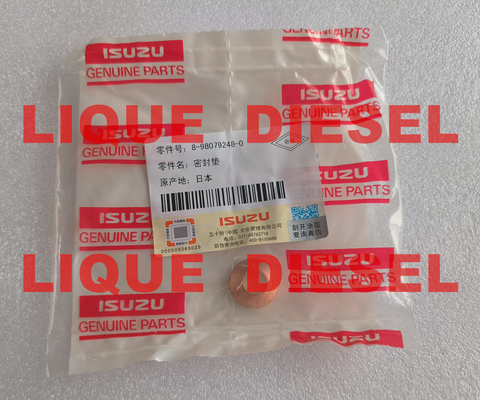 GAXETA 8-98079248-0 DE ISUZU GAXETA 8980792480 98079248: BOCAL DE INJ fornecedor
