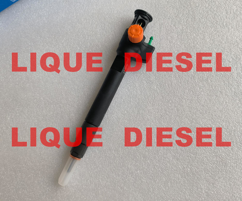 DELPHI Common Rail Injetor 28602948 9674984080 28388960 28319895 fornecedor