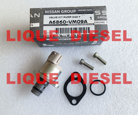Os kits de revisão A6860-VM09A A6860VM09A A6860 VM09A incluem a válvula 294200-0360 fornecedor