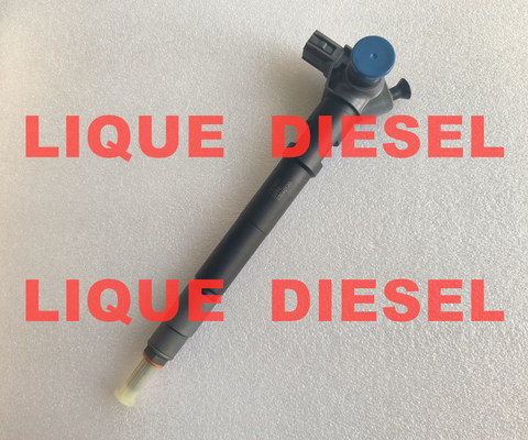 DENSO Injetor de trilho comum 295700-0290 33800-4A950 2957000290 338004A950 para a Hyundai D4CB VGT Euro 6 fornecedor