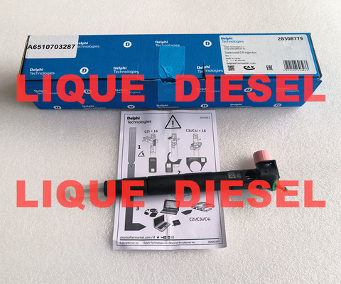 Injetor de combustível DELPHI 28308779 A6510703287 6510703287 Injetor comum fornecedor
