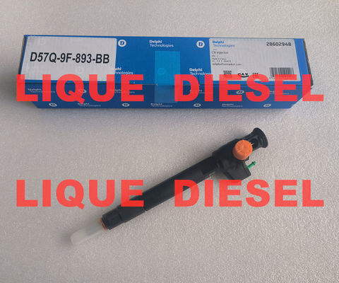 INJETOR DELPHI Comum Rail 28602948 9674984080 28388960 D57Q-9F-893-BB D57Q9F893BB fornecedor