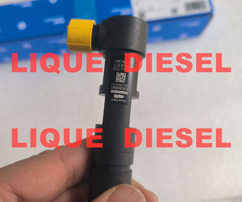 DELPHI Injetor EMBR00301D R00301D 6710170121 A6710170121 para SSANGYONG Korando fornecedor