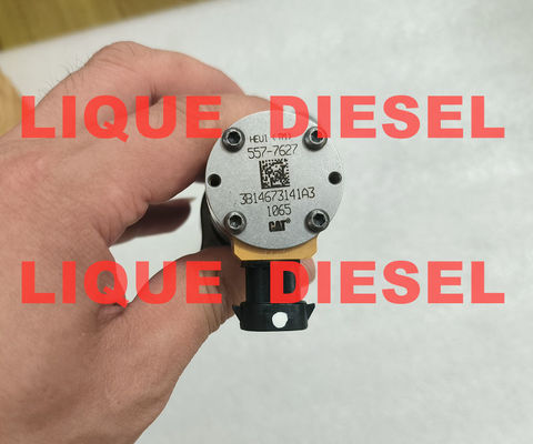 Injetor CAT 557-7627 5577627 387-9427 3879427 10R-7225 10R7225 para escavadeira CAT 324D, 325D, 326D, 328D, 329D fornecedor