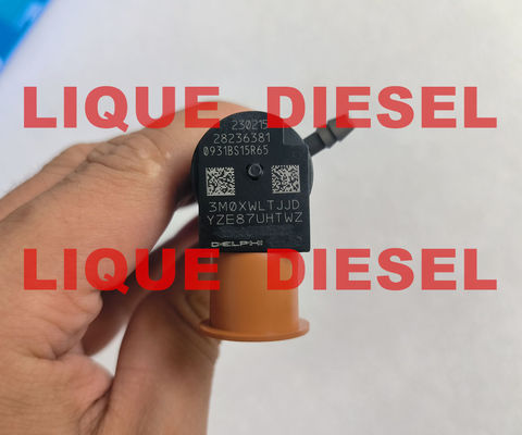 DELPHI Injetor de trilho comum 28236381 33800-4A700 338004A700 para HYUNDAI Starex 33800 4A700 fornecedor