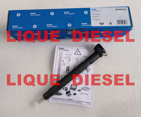 INJETOR DELPHI de trilho comum 28581266 33800-2A150 338002A150 33800 2A150 fornecedor