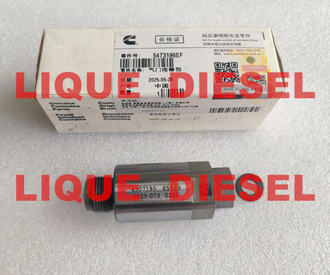 Válvula Limitadora Common Rail 5473196 4954245 4383889 4307195 fornecedor