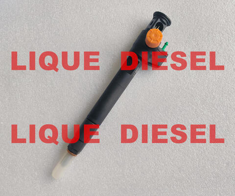 Injetor Common Rail 28602948 9674984080 28388960 28319895 D57Q-9F-893-BB D57Q9F893BB fornecedor