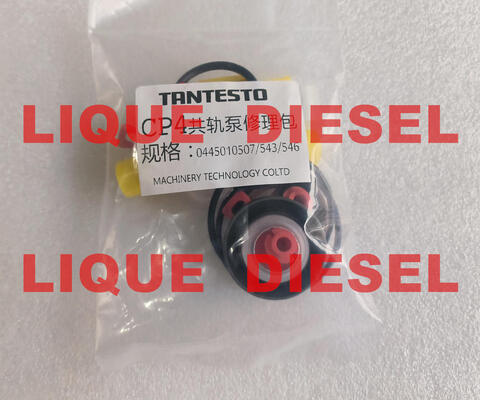 Kit de reparação de bombas CP4 Kit de reparação de bombas CP4 para bombas 0445010507 0445010543 0445010546 fornecedor