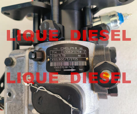 Bomba de Combustível 3062F075 3062F074 3062F073 3062F072 3062F071 3062F070 3062F07# fornecedor