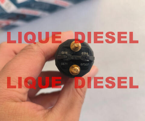 Injetor Common Rail 0445120196 0 445 120 196 445120196 0445 120 196 fornecedor