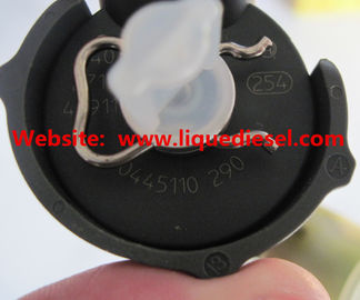 Injetor de BOSCH 0445110290/0445110126, 0 445 110 290/0 445 110 126, 0445 110 290/0445 110 126 fornecedor