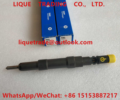 DELPHI Fuel Injetor R01001D, injetor de combustível genuíno R01001D de EJDR01001D, EJDR01001D fornecedor