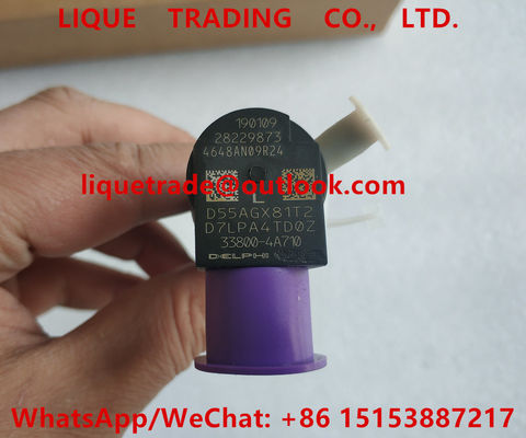 Injetor 28229873 do trilho de DELPHI Common, 33800-4A710, 338004A710 para HYUNDA KIA fornecedor