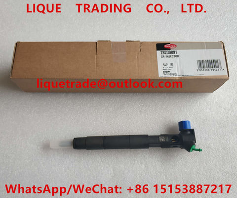 DELPHI Common Rail Injetor 28230891, injetor de combustível A6510701387 6510701387 fornecedor