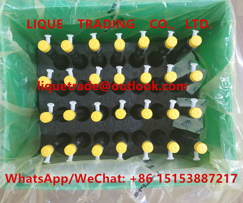 Injetor comum 28231014 do trilho de DELPHI para o pairo H6 1100100-ED01 do Grande Muralha, 1100100ED01, 1100100 ED01 fornecedor