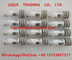 DELPHI Common Rail Injetor Nozzle L229PBC, L229, BOCAL 229, 229PBC fornecedor