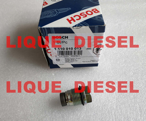 Válvula de escape de pressão 1 de BOSCH 110 010 013, 1110010013, 1110 010 013 fornecedor