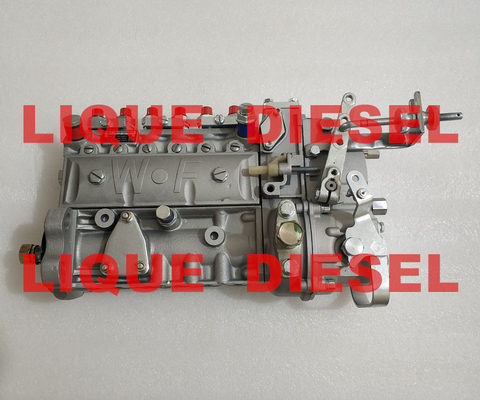 Conjunto de alta pressão 3976801 6A125A WEIFU da bomba da injeção fornecedor