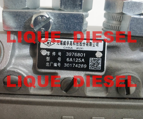 Conjunto de alta pressão 3976801 6A125A WEIFU da bomba da injeção fornecedor